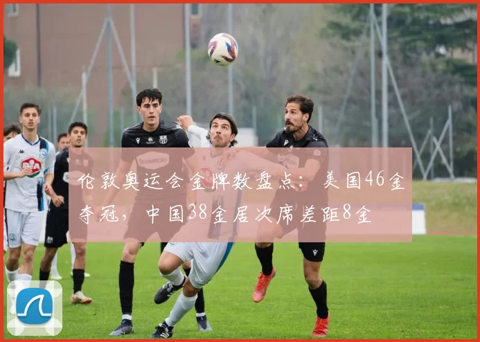 伦敦奥运会金牌数盘点：美国46金夺冠，中国38金居次席差距8金