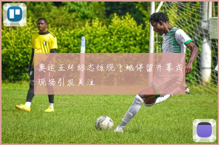 奥运五环标志惊现飞蛾停留开幕式现场引发关注