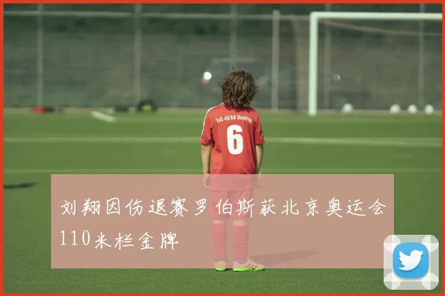 刘翔因伤退赛罗伯斯获北京奥运会110米栏金牌