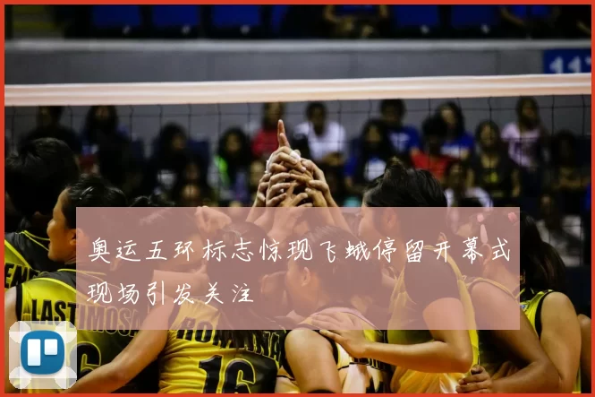 奥运五环标志惊现飞蛾停留开幕式现场引发关注